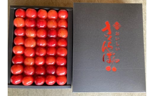 さくらんぼ（佐藤錦）　お化粧詰め　特秀品　３００ｇ　0044-2503