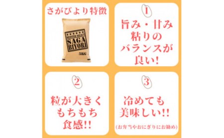 【無洗米】さがびより5kg*夢しずく5kg《計10kg》佐賀のお米食べ比べ!  B569