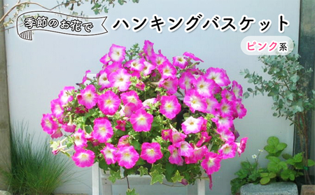 花 季節のお花でハンキングバスケット ピンク系 植物 花