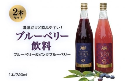 【数量限定】果汁50％ピンクブルーベリー飲料1本＆果汁50％ブルーベリー飲料1本（化粧箱入り） 9-P