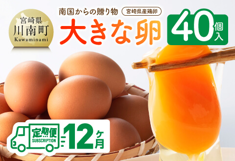 【12ヶ月定期便】 宮崎県産鶏卵　「南国からの贈り物」大きな卵40個入り（35個+破損補償5個）【卵 鶏卵 新鮮 生卵 タマゴ おうち時間】[C01401t12]