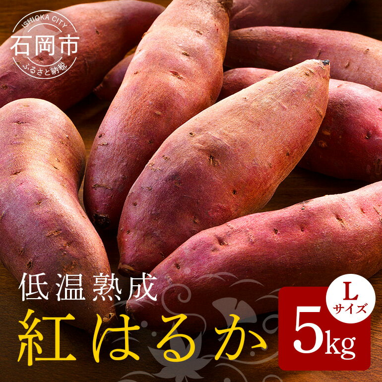 【ふるさと納税】 低温熟成 茨城県産 紅はるか さつまいも Lサイズ 5kg ねっとり 甘い 高糖度 大きい L サイズ べにはるか サツマイモ 焼き芋 最適 60日以上熟成 しっとり 食物繊維 ビタミン 健康 旨味 甘み 増す おやつ ギフト 贈答用 さつま芋 石岡市 (A22-001)