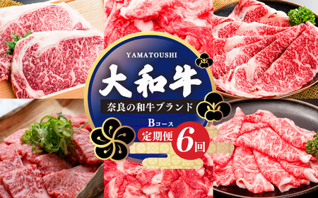 【定期便6回】大和牛 お肉の定期便 B | 肉 ニク にく 牛肉 奈良県 五條市