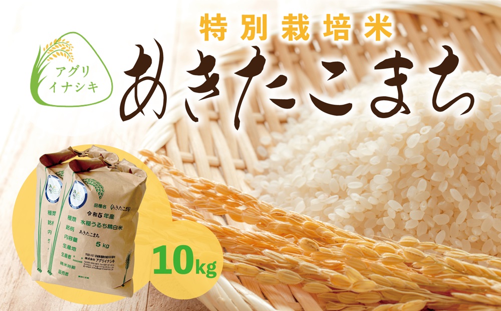 新米【令和6年産】茨城県稲敷市産 特別栽培米 あきたこまち 合計10kg (5kg×2袋)｜米 おこめ 精米 農家直送 直送 茨城県 [1100]