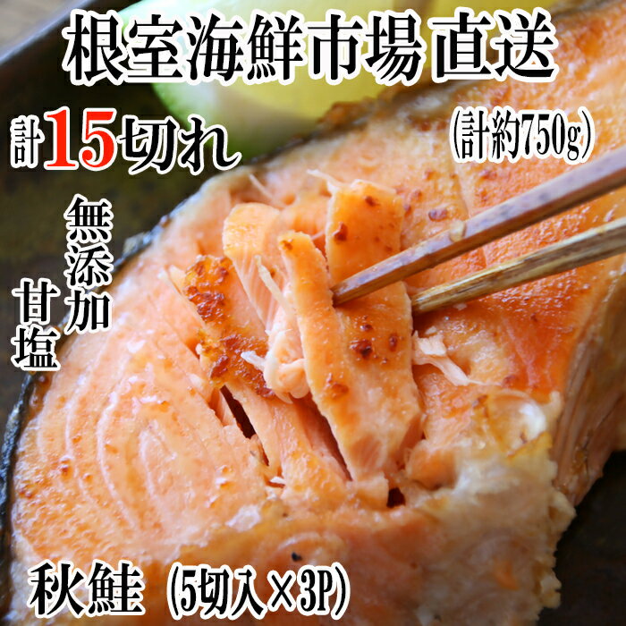【ふるさと納税】根室海鮮市場＜直送＞無添加甘塩天然秋鮭5切 選べる 3P 6P 秋さけ 秋サケ 秋味 アキアジ サカナ さかな 魚 北海道 根室市