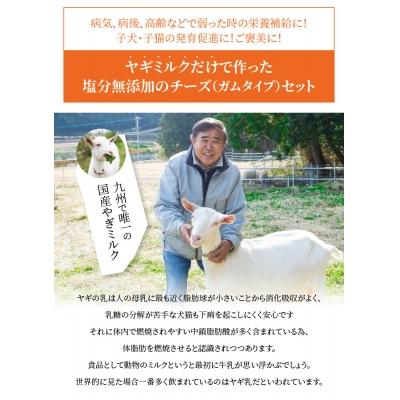 ふるさと納税 大分市 ワンちゃん、ネコちゃんの大好きなヤギミルク5本と、やぎミルクチーズ(ガムタイプ)_R14081 |  | 01
