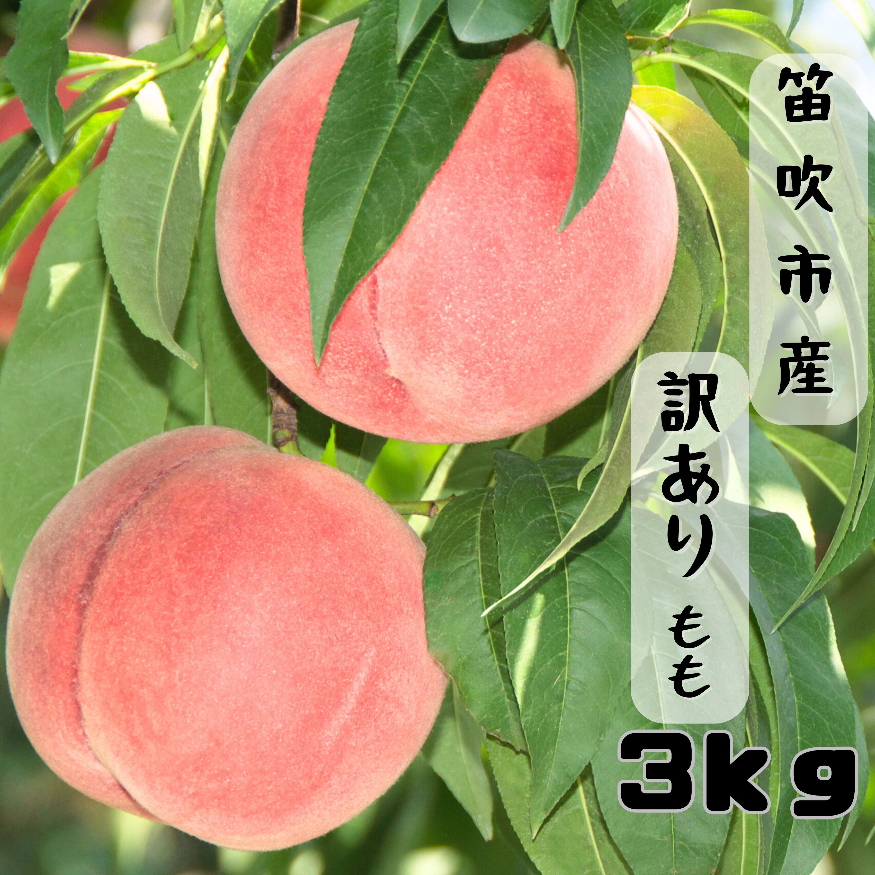 【ふるさと納税】＜25年発送先行予約＞ 笛吹市産 訳あり桃 約3kg 167-026 ★レビューキャンペーン中（4月〜6月）※訳あり品のため注意事項をご確認ください