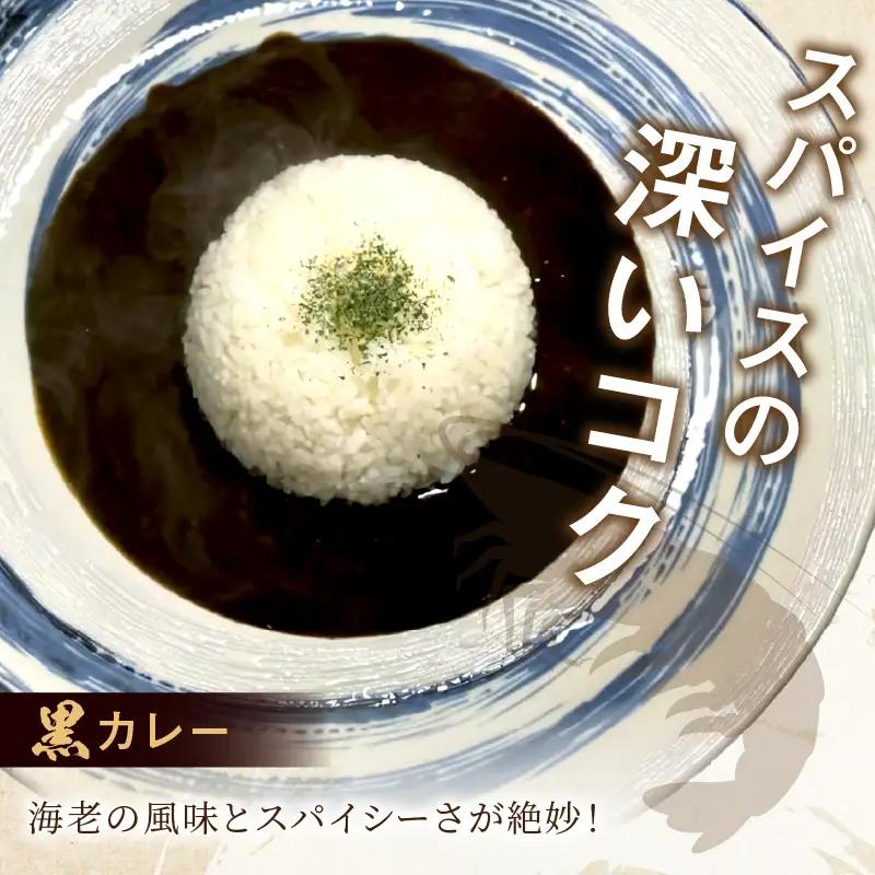 濃厚海老出汁 海老元カレー【白・黒・赤】（甘口・中辛・辛口）6個セット（レトルト 常温 簡単調理 レトルト食品 レトルトカレー かれー カレーセット セット カレー 人気カレー 詰め合わせ 加工食品 