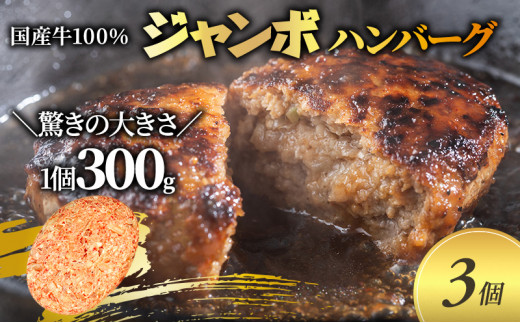 
【牛壱】国産牛100％ ジャンボハンバーグ 3個　300g×3個
