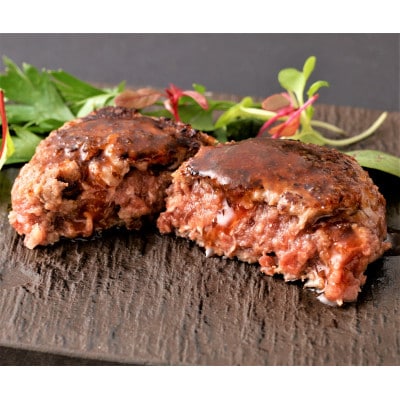 馬刺しを使ったハンバーグ5個入り(南阿蘇村)【配送不可地域：離島】【1503738】