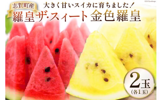 【期間限定】 羅皇 ザ・スウィート (赤色) 金色羅皇 (黄色) 【幻のゴールデンスイカ】2玉（各1玉） [米吉農園 石川県 志賀町 BA4124] スイカ すいか 西瓜 果物 フルーツ くだもの 野菜