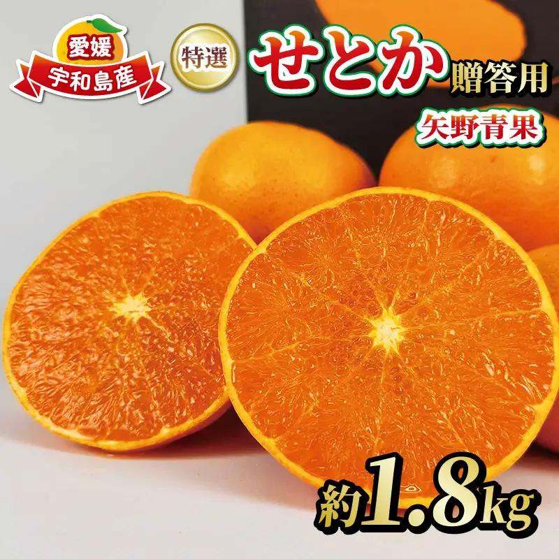 【特選】せとか1.8kg矢野青果せとかB015-171035