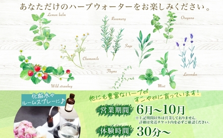 北海道 アロマ ウォーター 蒸留 体験 ハーブ フレッシュ オリジナル ハーブ畑 天然 リラックス 癒し リラクゼーション 化粧水 フレグランス ハーバルランチ 送料無料 洞爺湖 