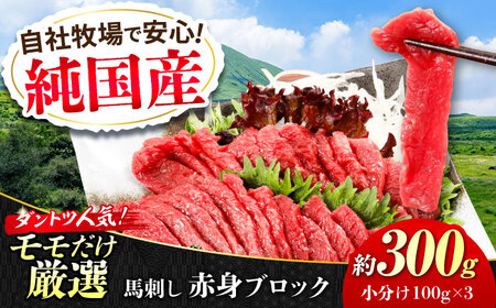 『純国産』熊本の味 赤身 馬刺し 約300g ブロック 冷凍 タレ付き   馬刺し [AYCN026]