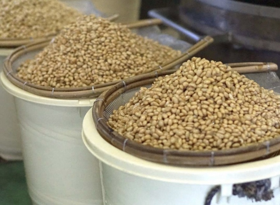 月岡糀屋 完全自家製味噌 十割糀味噌 600g×2個入り 3B02007