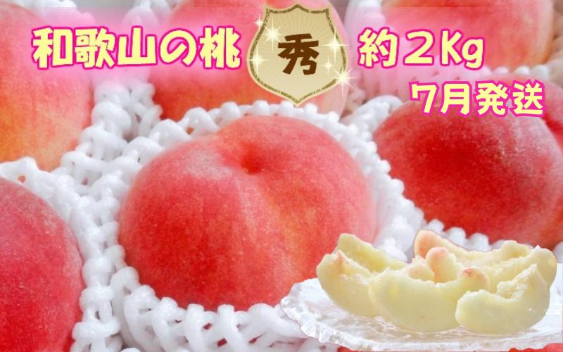 【秀品】和歌山ブランド白桃 約2kg！2025年 7月発送分【NGT6】【ngt302】