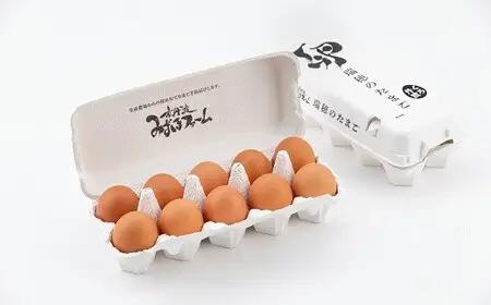 卵 3種類たまご 京丹波産鶏卵 30個 6回定期便