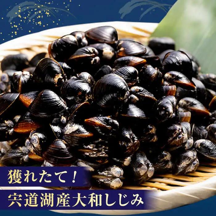 【先行予約】【2026年9月中旬以降順次発送】しじみ 島根のうまいもんセット！宍道湖産冷凍大和しじみ　L500g×2　山陰沖産のどぐろ一夜干し100g以上×2 島根県松江市/平野缶詰有限会社[ALBZ