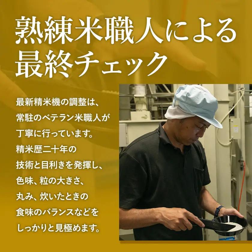 令和7年産 こしひかり 白米  5kg 精米 熊本県産(南阿蘇村産含む)  南阿蘇村《7-14日以内に出荷予定(土日祝除く)》