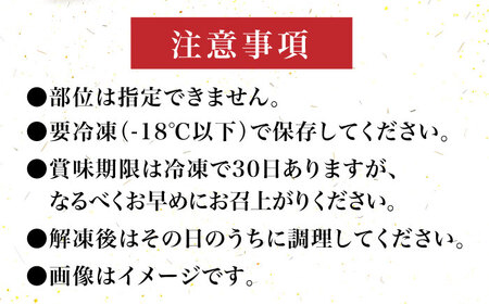 【全12回定期便】【化粧箱入】博多和牛A5～A4 切り落とし 500g《豊前市》【株式会社マル五】 [VCL113]