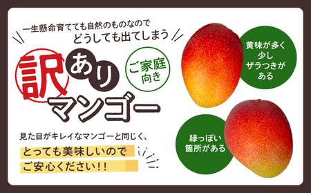 【訳あり】完熟マンゴー ２L～３L×５玉（パック）【濃厚 高級 宮崎 果物 フルーツ 贈答 ギフト 甘い 先行受付 送料無料】