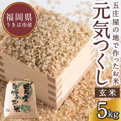 ふるさと納税 うきは市 【特Aランク米】五庄屋の地で作ったお米 元気つくし玄米 (5kg)【Go庄屋合同会社】 | 