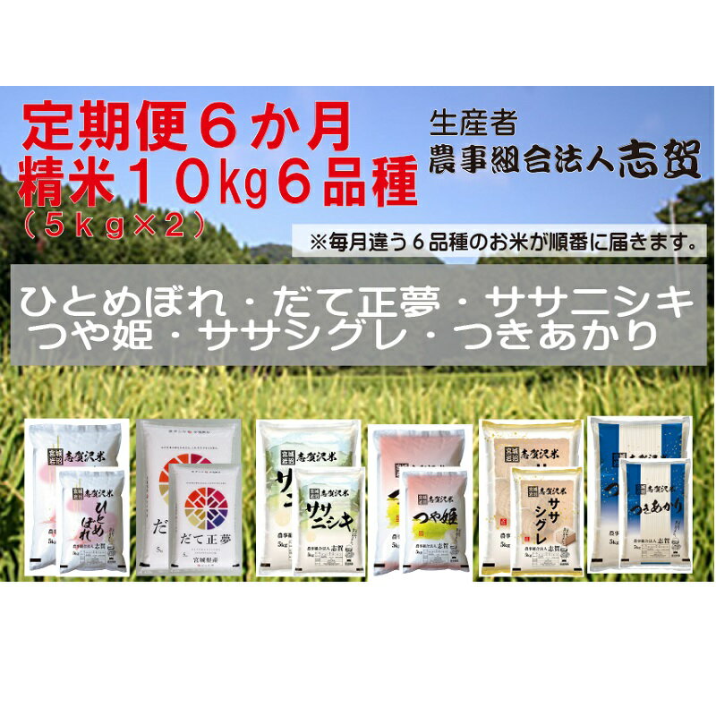 【ふるさと納税】食べ比べ！【6ヶ月定期便】宮城県岩沼市産 志賀沢米 10kg サブスク　 　お届け：2025年10月中旬～2026年3月下旬