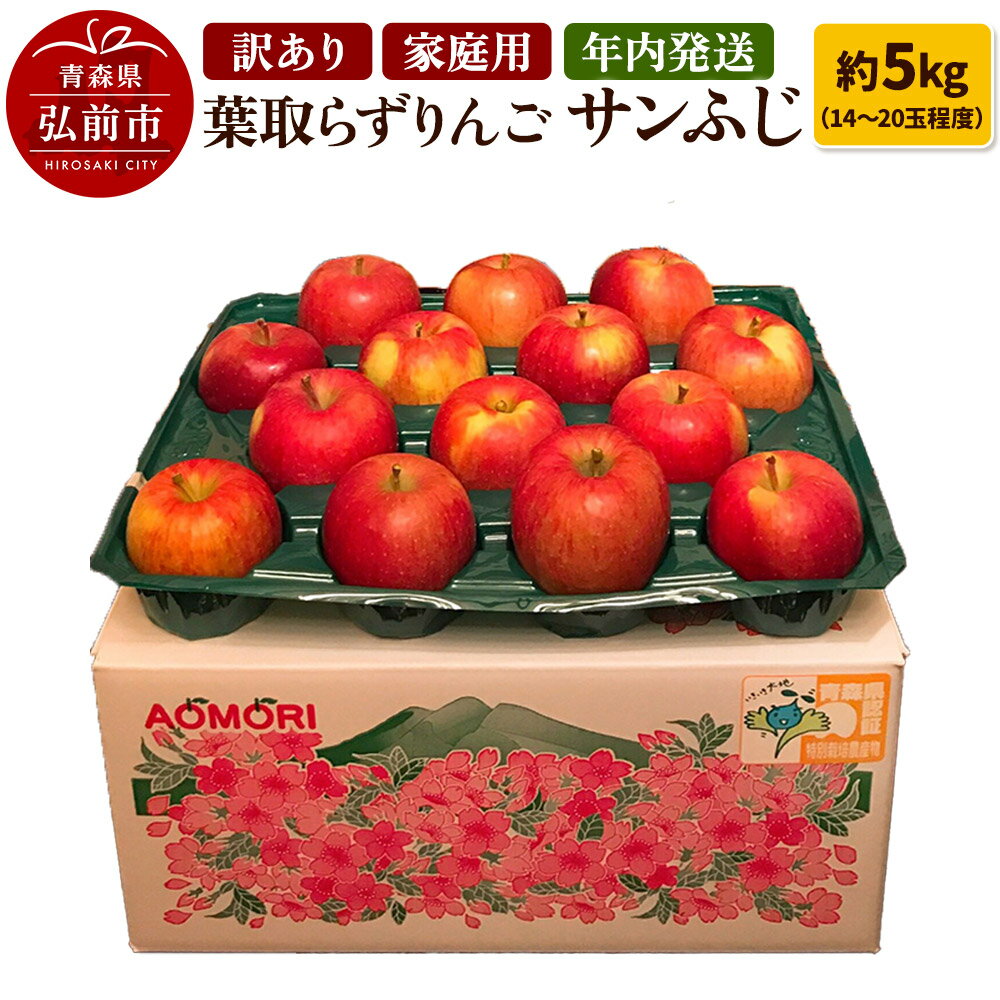 【ふるさと納税】りんご 訳あり家庭用【年内発送】葉取らず サンふじ 約5kg（14〜20玉程度）青森県特別栽培農産物認証農園