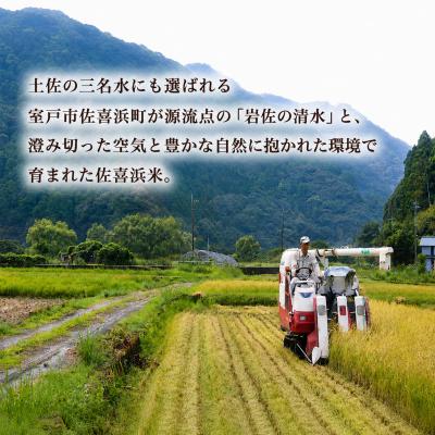 ふるさと納税 室戸市 特別栽培米 白米 5kg 令和7年度産 佐喜浜米 |  | 01