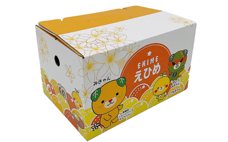 【先行予約】デコポン 2.2㎏（L～2Lサイズ）｜2026年2月下旬～3月下旬発送｜柑橘 でこぽん 愛媛県 西条市