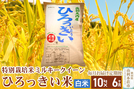 《定期便6ヶ月》【白米】 秋田県産 ミルキークイーン 10kg 令和6年産 ひろっきい米