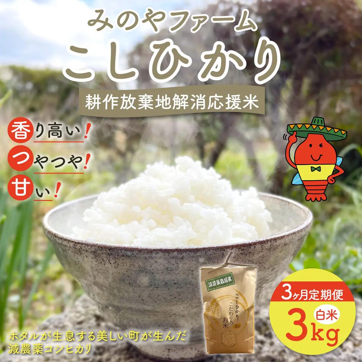 【3ヶ月定期便】みのやファーム耕作放棄地解消応援米　こしひかり　3ｋｇ（白米）ONJF008
