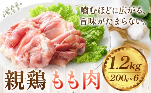 親鶏 肉 鶏肉 もも肉 1.2kg 200g × 6 《30日以内に出荷予定(土日祝除く)》 カット済 親どり おやどり ひね鳥 ひねどり 純鶏 もも むね 鶏肉 とり肉 鶏もも 鶏むね 冷凍 ミックス 詰め合わせ 焼肉 焼き鳥 おつまみ キャンプ BBQ 徳島 上板