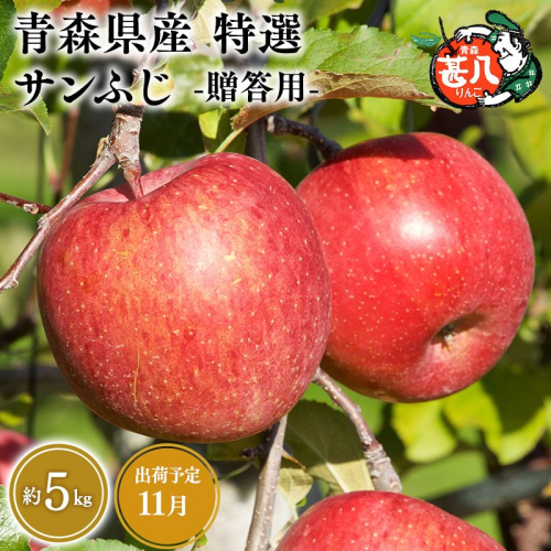 11月発送　特選　甚八りんごサンふじ5kg　【マルジンサンアップル　11月　青森県産　平川市　りんご　サンふじ　5kg　特選　贈答用】