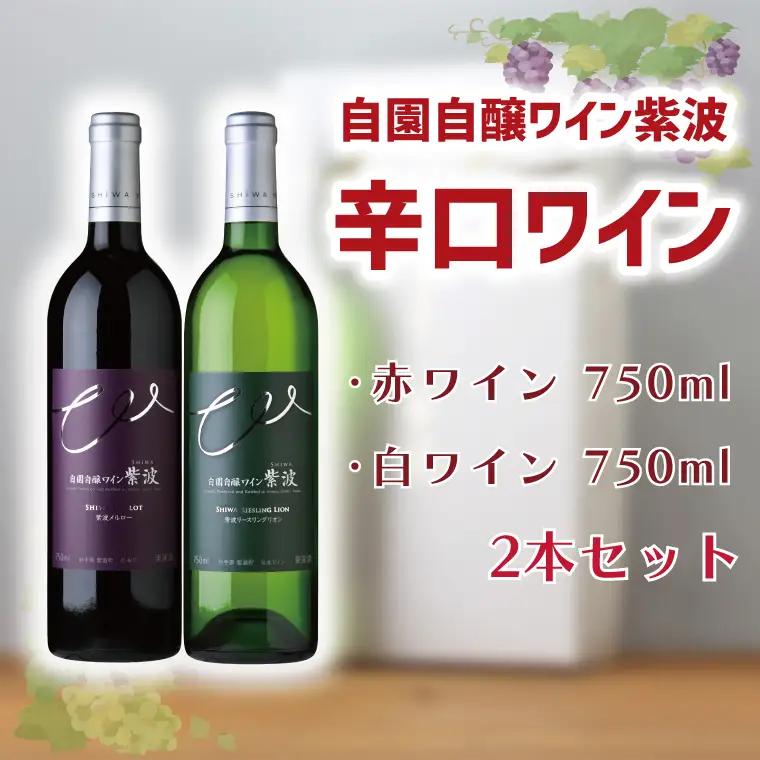 ワイン 赤・白 辛口 ワイン 2本セット AL045-1