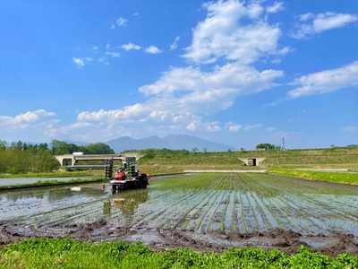 長野県佐久市産 こしひかり 15kg(5kg×3袋) 白米 つや 粘り 食感 甘み 香り〈出荷時期:2023年10月中旬以降~〉【 長野県 佐久市 】