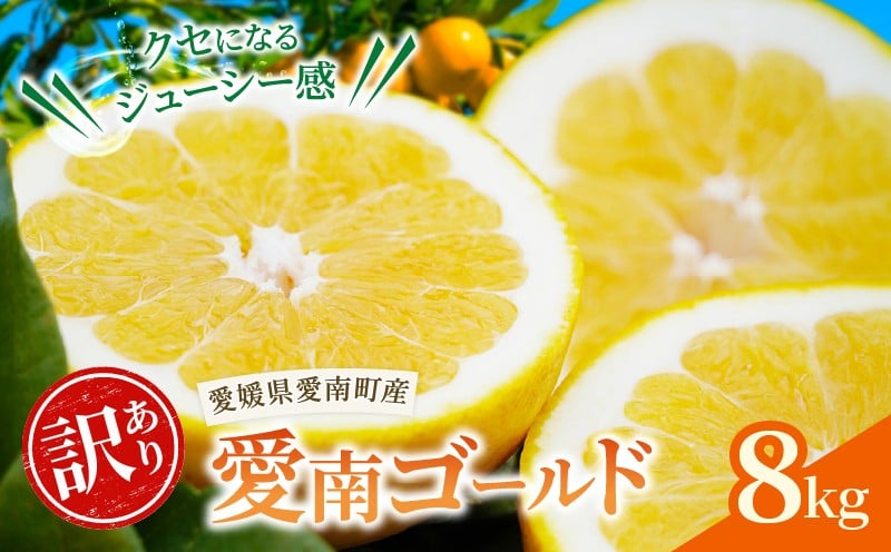 
                  【訳あり】チョイス限定  愛南ゴールド ( 河内晩柑 ) 8kg 先行予約 みかん 蜜柑 河内晩柑 和製 グレープフルーツ 傷 不揃い 規格外 常温 愛媛県 愛南町 青果市場 発送: 2026年4月上旬～なくなり次第終了
                