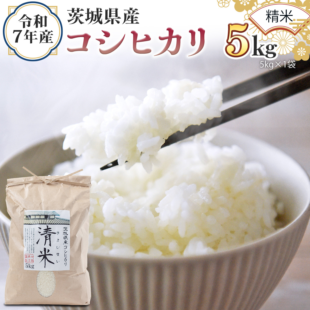令和7年産 茨城県産 精米 コシヒカリ 5kg （5kg×1袋） 白米 清米 キヨシマイ こしひかり 米 コメ こめ 単一米 限定 茨城県産 国産 美味しい お米 おこめ おコメ[EH26-NT]