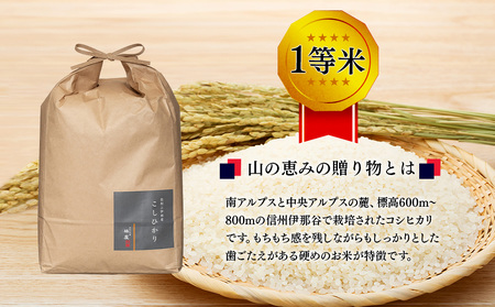 【令和7年産】３ヶ月連続お届け 定期便 信州産 コシヒカリ 1等米 「山の恵みの贈り物」 5kg 計15kg （ お米 コシヒカリ 白米 搗きたて米 低温貯蔵米 食品 ) 長野県　箕輪町 