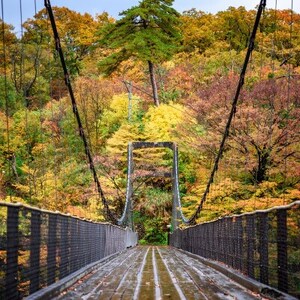 選ばれる温泉体験 36,000円分の温泉宿泊利用券【1711725】