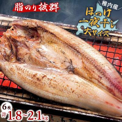 ふるさと納税 稚内市 脂のり抜群　稚内産 ほっけ 一夜干し6枚セット 魚 焼き魚 海鮮