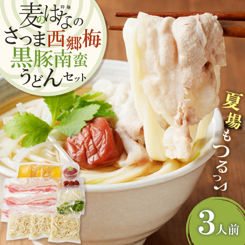 【ふるさと納税】 麦のはな の さつま西郷梅黒豚南蛮うどん セット 3人前 手打ち うどん 黒豚南蛮うどん 黒豚 南蛮うどん 鹿児島県産 鹿児島市 出汁 こだわり 豚 肉 スープ 梅 謹製 粋麺麦のはな ふるさと納税 鹿児島 おすすめ ランキング プレゼント ギフト