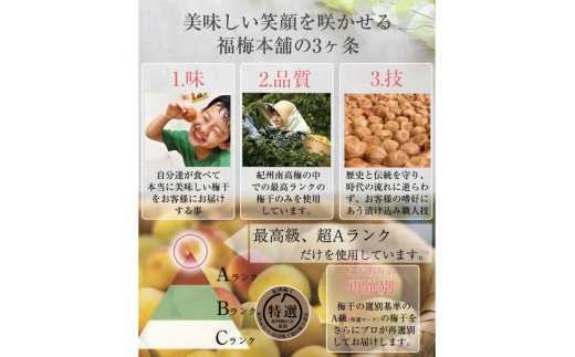 N186　紀州南高梅　梅の鏡１段　まろやか梅
