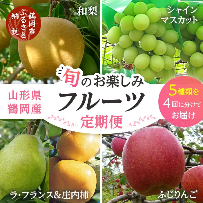【ふるさと納税】【令和7年産先行予約】【定期便】鶴岡産旬のお楽しみフルーツセット(果物) シャインマスカット 和梨 ラ・フランス 庄内柿 りんご(計4回、5種) | 山形県 鶴岡市 山形 くだもの 幸水 豊水 柿 フルーツ定期便 自宅用 家庭用