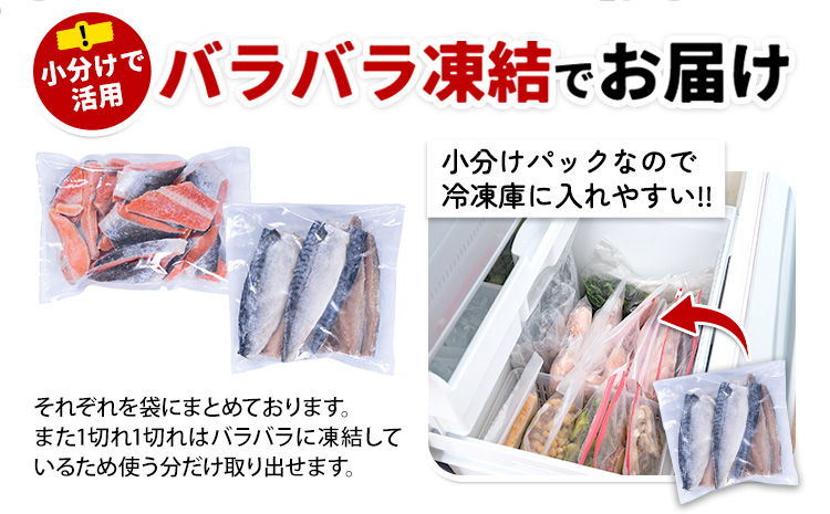 訳あり 人気アイテム 詰め合わせ 塩銀鮭 切り落とし 1.5kg + 塩サバ 1kg 合計 約 2.5kg 株式会社西川 《6月上旬-6月末頃出荷》千葉県 勝浦市 塩銀鮭 塩サバ 魚 切り落とし 冷凍