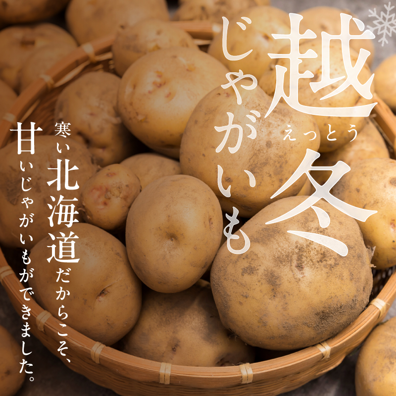 今が旬！ホクホク あま～い！ 低温貯蔵！北海道産 越冬じゃがいも はるか 約5kg 【じゃがいも いも 芋 はるか 産地直送 越冬 5kg】