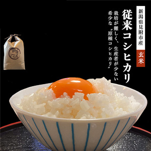 【ファーム喜左ヱ門】令和7年産 幻のお米従来コシヒカリ 玄米 5kg