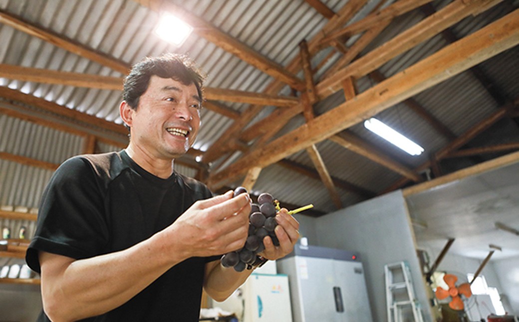 熊本県湯前産巨峰約1.8kg※種あり根域制限栽培