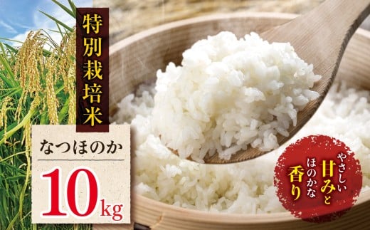 特別栽培米 なつほのか 10kg | お米 米 精米 白米 おこめ こめ ご飯 ごはん 国産米 5キロ 大分県産 九州産 大分県 中津市