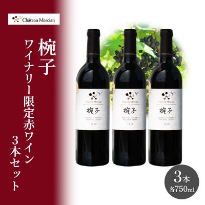 ふるさと納税 上田市 限定 赤ワイン 750ml 3本セット[54041121]